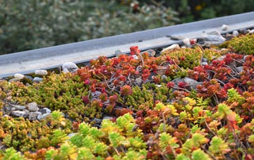 the cost of White Roothing Or White Roding green roof installation
