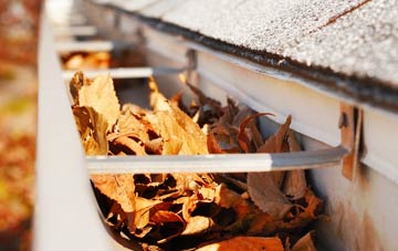 White Roothing Or White Roding gutter cleaning companies