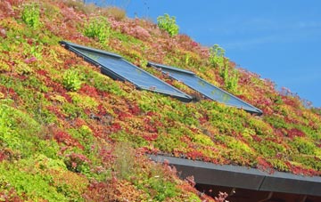 White Roothing Or White Roding living roof systems