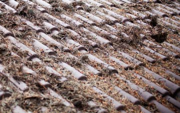 White Roothing Or White Roding roof cleaning companies