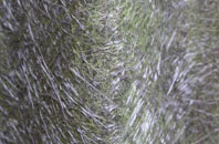 White Roothing Or White Roding fibreglass roof work