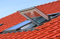 White Roothing Or White Roding roof window